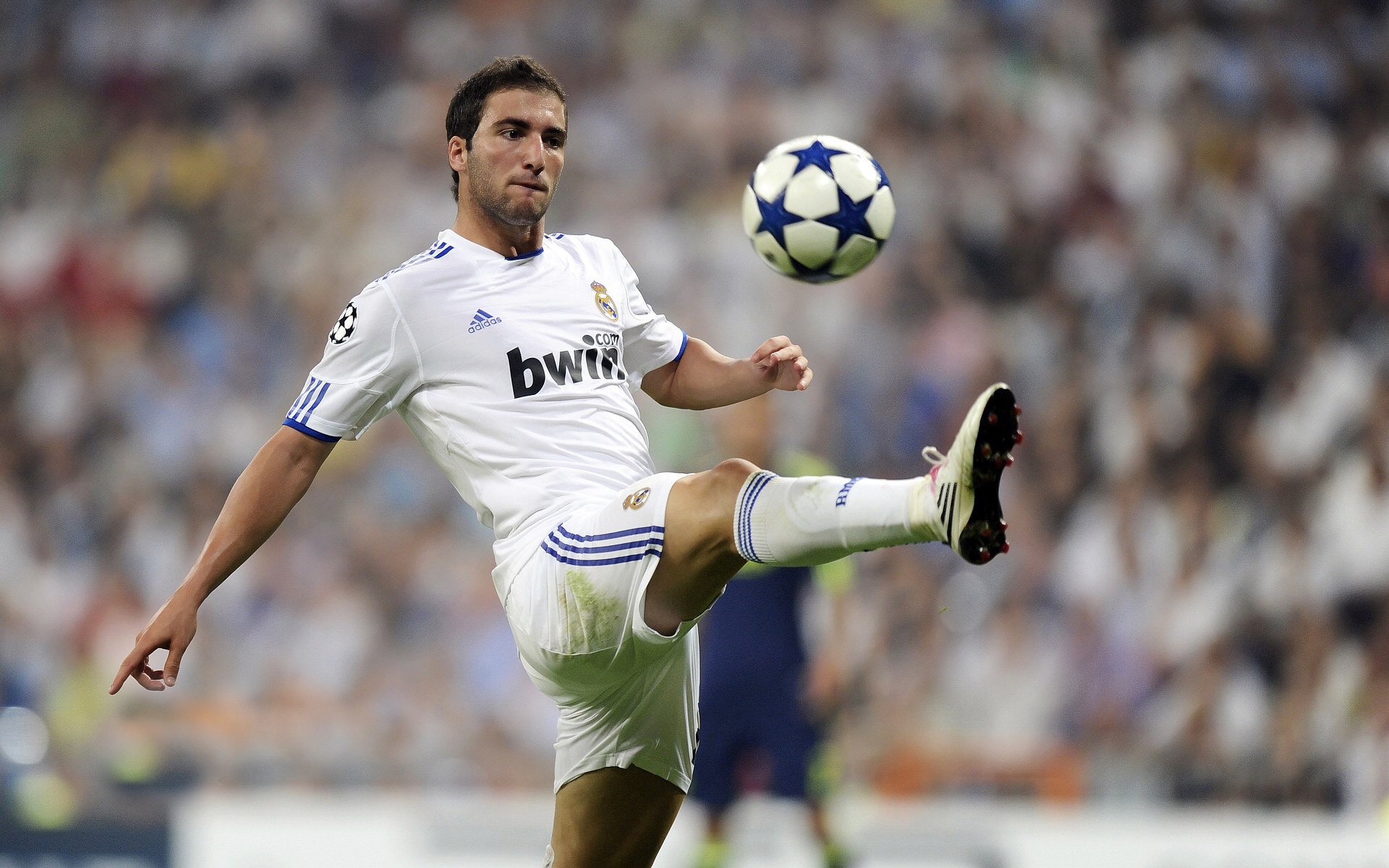 现场气氛火爆，球迷支持如潮！，足球比赛现场气氛怎么形容